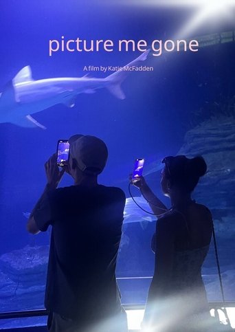 Poster of Picture Me Gone