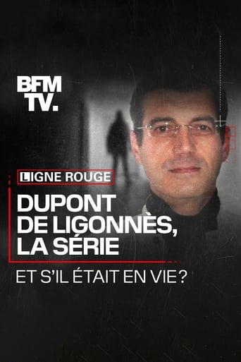 Poster of Dupont de Ligonnès, la série