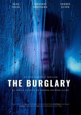 Poster of The Burglary