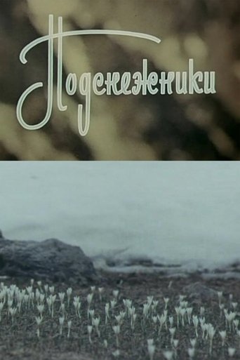 Poster of Snowdrops