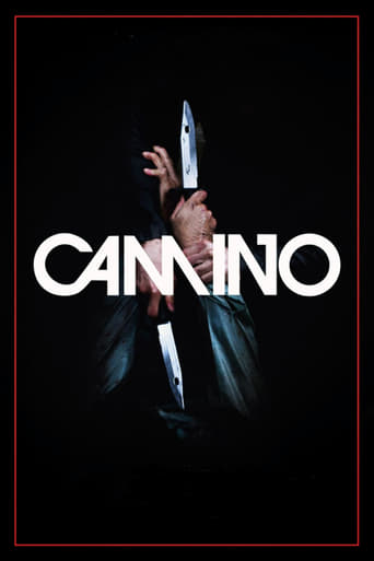 Poster of Camino