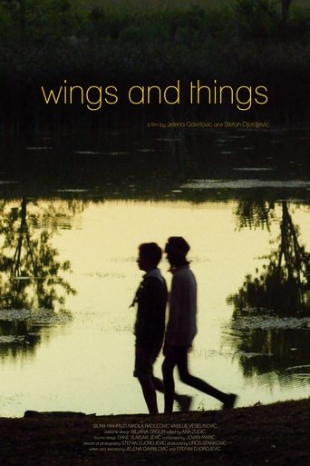 Poster of Wings and Things