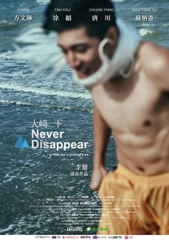 Poster of Never Disappear