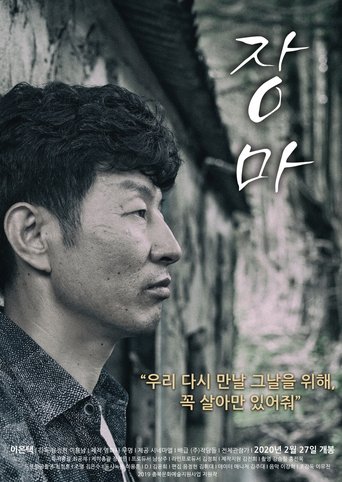 Poster of The Rainy Season