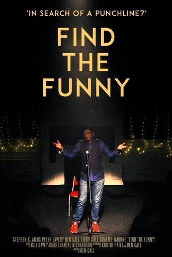 Poster of Find the Funny