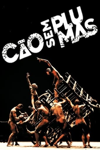 Poster of Cão sem Plumas