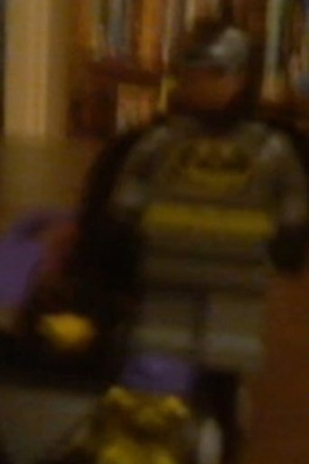 Poster of Lego batman saves the day