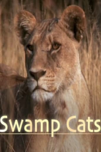 Poster of Swamp Cats