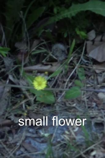 Poster of Small Flower