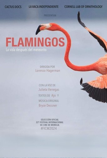 Poster of Flamingos
