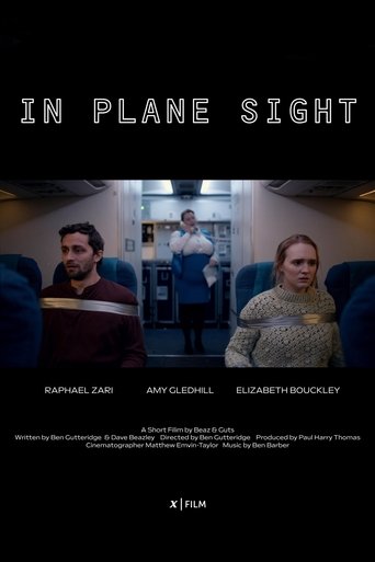 Poster of In Plane Sight