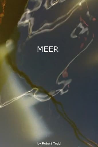 Poster of Meer