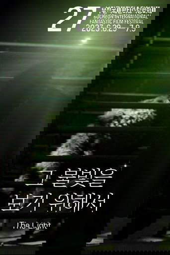 Poster of The Light