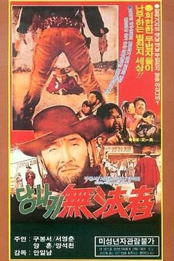 Poster of Outlaw on a Donkey