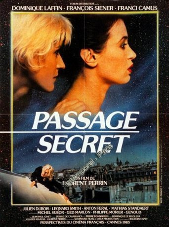 Poster of Passage secret