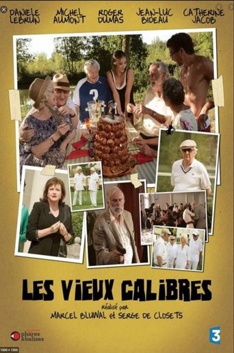 Poster of Les Vieux Calibres