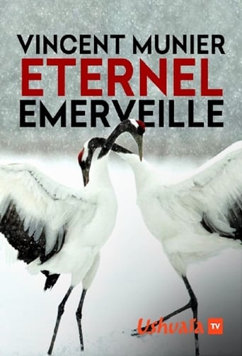 Poster of Vincent Munier, éternel émerveillé