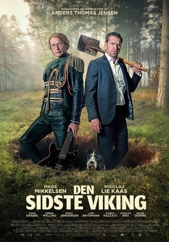 Poster of The Last Viking