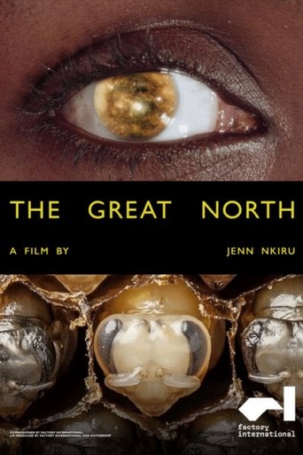 Poster of The Great North