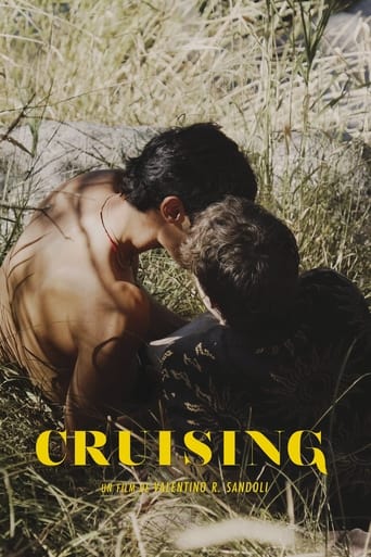 Poster of Cruising