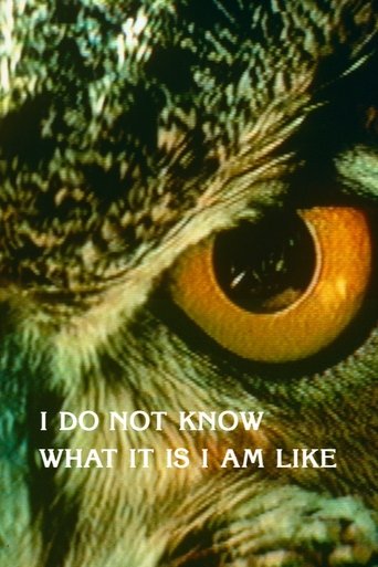 Poster of I Do Not Know What It Is I Am Like