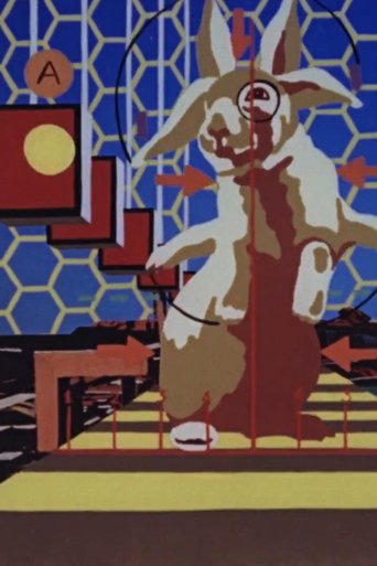 Poster of The Rabbit