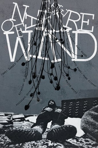 Poster of The Nature of Wind