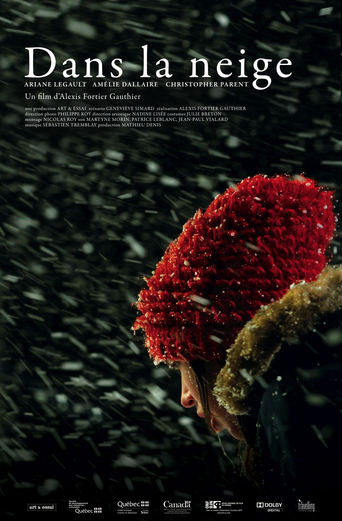 Poster of Snowbound