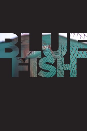 Poster of Bluefish