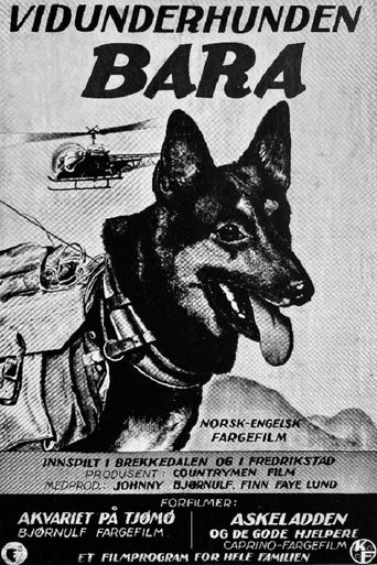 Poster of Vidunderhunden Bara
