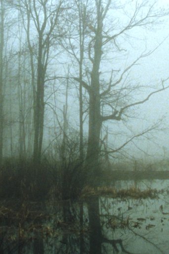 Poster of Early Spring Wetlands