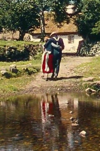 Muide Éire Poster of Muide Éire