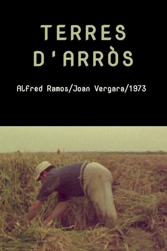 Poster of Terres d'arròs