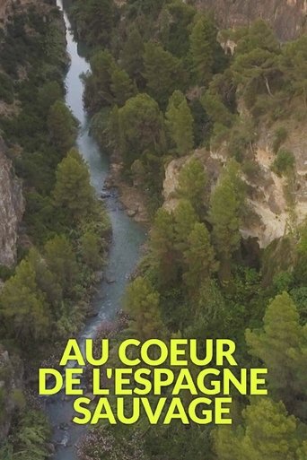Poster of The Wild Heart of Spain