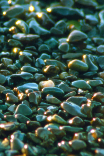 Poster of Jasper Beach and The Salt Marsh