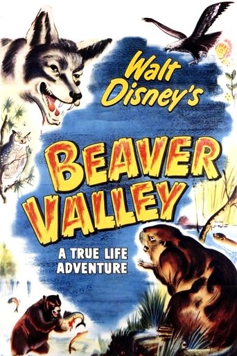 Poster of Beaver Valley