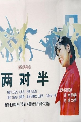 Poster of 两对半