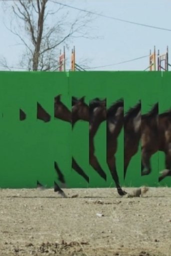 Poster of Playgrounds In Motion