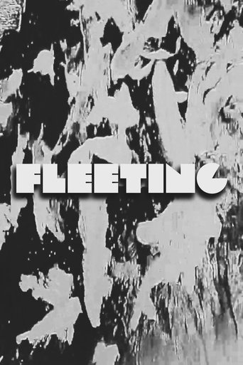 Poster of FLEETING
