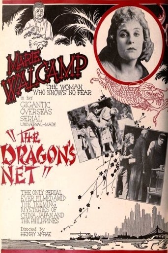 Poster of The Dragon's Net