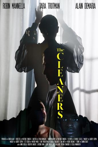 Poster of The Cleaners