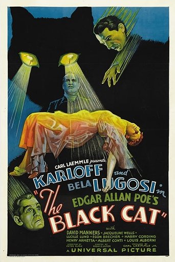 Poster of The Black Cat