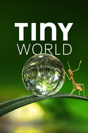 Portrait for Tiny World - Season 1