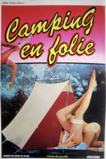 Poster of Le Camping en Folie