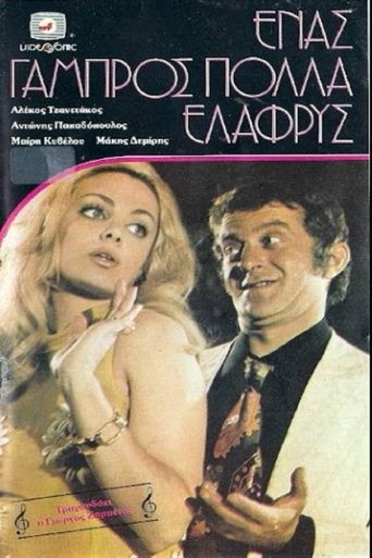 Poster of Ένας Γαμπρός Πολλά Ελαφρύς