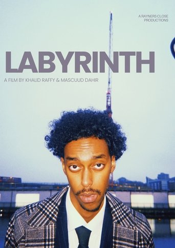 Poster of Labyrinth