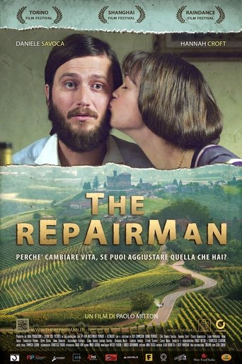 Poster of The Repairman