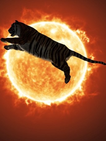 Poster of One or Several Tigers