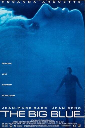 Poster of The Big Blue Adventure