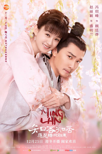 Poster of 知否知否应是绿肥红瘦DVD版